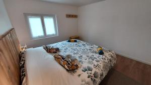 B&B / Chambres d'hotes Suite a l'Oasis de Chamousset : photos des chambres