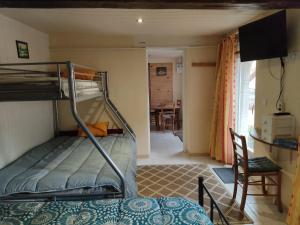 Appartements PETIT MAS COSY DU BORD DE LOIRE a 15 MM DU PARC LE PAL : photos des chambres