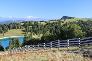 Appartements Studio 4 personnes, pied des pistes ski et VTT : photos des chambres
