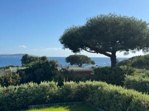 Proche porticcio, Coup de cœur asuré,Appartement de standing, rez de villa 6 couchages, climatisé à 150m de la plage, terrains de tennis