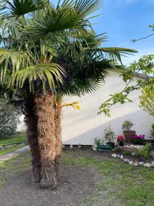 Appartements Studio Les Oliviers : photos des chambres