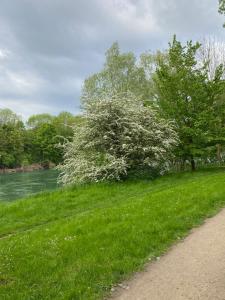 Appartements Studio Les Oliviers : photos des chambres