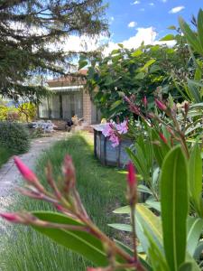 Maisons de vacances La roseraie Bonnieux : photos des chambres