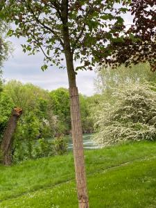 Appartements Studio Les Oliviers : photos des chambres