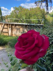 Maisons de vacances La roseraie Bonnieux : photos des chambres
