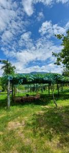 Guesthouse Turo