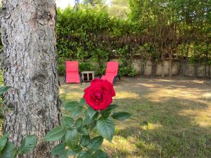 Maisons de vacances La roseraie Bonnieux : photos des chambres
