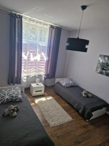 Apartament Azyl