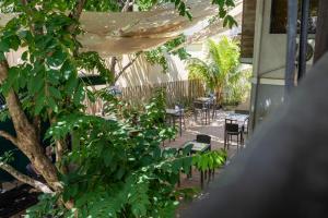 Island Lyfe Adventures Hotel