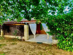 Maisons de vacances Domaine Plan des Devens : photos des chambres