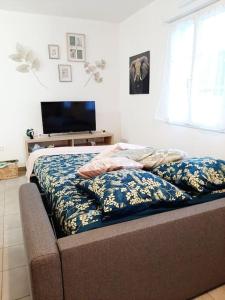 Appartements Proche aeroport a pied O- jungle : photos des chambres