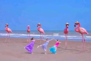 Flamingo Ibiza Hải Tiến