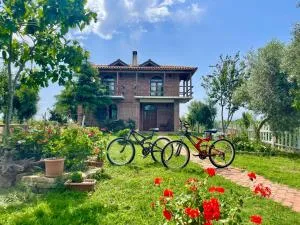 Juniperus Village House - Darëzeza e Re