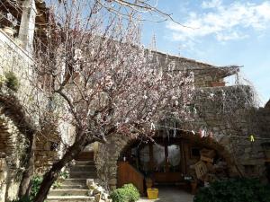Gîtes du Mas Champion - Piscine, Soleil, Nature & Calme - groupes