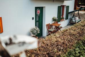 Cozy family place Hiša Grozdek - Gruškovec 40A