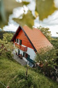 Cozy family place 'Hiša Grozdek' - Gruškovec 40A 