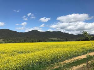 La casa delle stelle