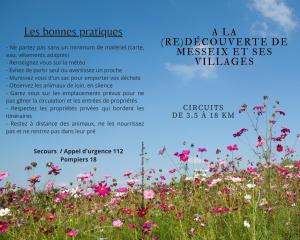 Appartements Vacances en famille 4 etoiles a 30min des pistes de Ski Mont Dore Sancy : photos des chambres