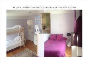 BIG House near Beauval and Castle - Privatisation Domaine du Moulin Neuf