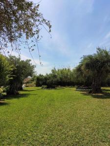 Firefly Studios Panayiota 15