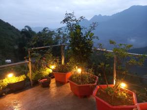 VALLEY VIEW COFFEE & STAY