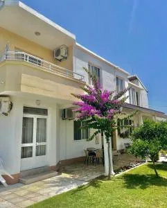 Harasani Isat - فيليكا بلازا