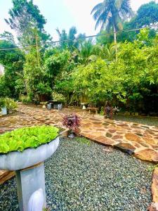 Owen Resort