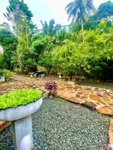 Owen Resort - Metarambe