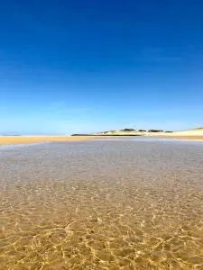 Vue Mer - Au Coeur de Contis Plage - Contis-les-Bains