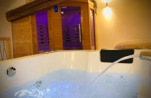 Appartements Suite Spa et Sauna de Cogny : photos des chambres