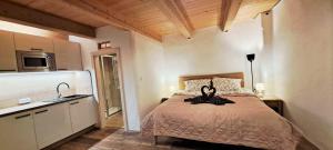 Pětidomí 88 - Rožmberská