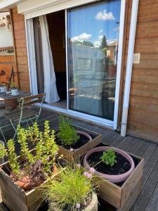 Appartements Studio dans village idyllique entre mer et vignes : photos des chambres