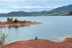 Appartements Studio dans village idyllique entre mer et vignes : Appartement 1 Chambre