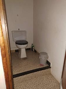 Appartements Les gites flora la lavande et chataignier : Appartement 1 Chambre
