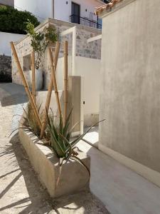 Synoikies by Oikieskiathos