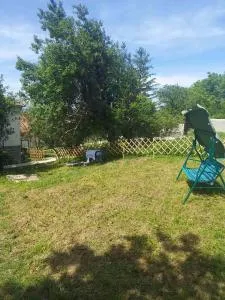 Cvrkut ptica - 阿莱克西纳茨