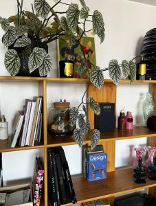Appartements Appartement Cosy Pantin : photos des chambres