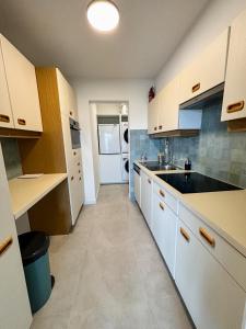 Large sunny and bright apartment with park view