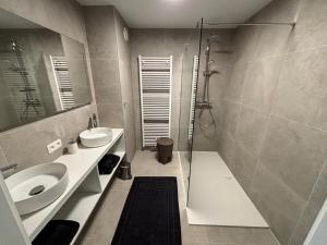 Large sunny and bright apartment with park view