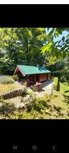 Forest World - Otruševec