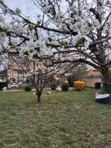 B&B / Chambres d'hotes chambre studio 25 M2 et table d-hotes Ruoms 2 : photos des chambres