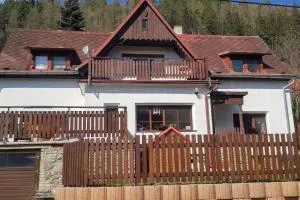 Wassermann - Rejštejn