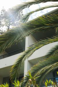 Hotels Hotel Les Fougeres - Hossegor : photos des chambres