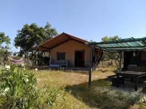 Eco Glamping Portugal Nature Lodge - Carrasqueira