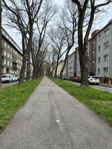 Urban Heart of Bratislava