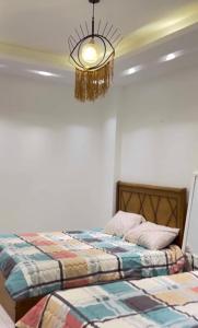 شقة الكامله