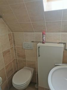 Ferienwohnung Dresden-Trachenberge-Stadtblick