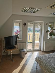 Ferienwohnung Dresden-Trachenberge-Stadtblick