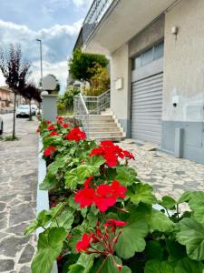 Conero Holiday Home - "Il Filare"