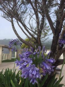 RelaxatOutlookBaguio